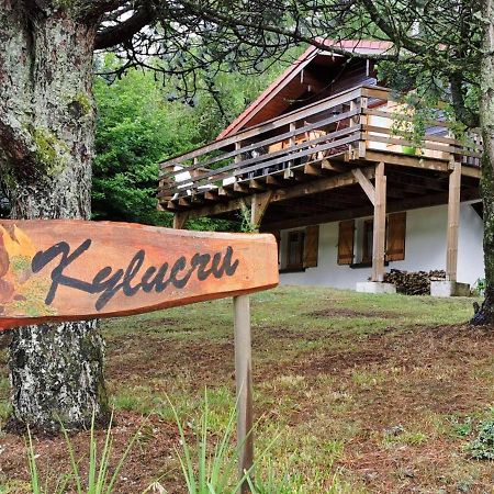 Chalet Kylucru 6 Personnes Classe 2 Etoiles Vila Xonrupt-Longemer Exterior foto